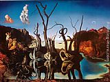 Salvador Dali Famous Paintings - Swans Reflecting Elephants